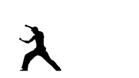 Équipez le Taekwondo s'exerçant ou le karaté, silhouette, lente banque de vidéos Équipez le Taekwondo s'exerçant ou le karaté, silhouette, lente banque de vidéos