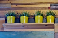 Étagère en bois sur le mur avec de petites usines dans des pots jaunes image stock Étagère en bois sur le mur avec de petites usines dans des pots jaunes image stock