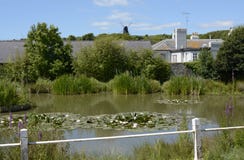 Étang de village chez Rottingdean sussex l'angleterre photo libre de droits Étang de village chez Rottingdean sussex l'angleterre photo libre de droits