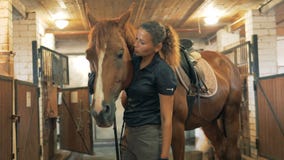 Één vrouw en een bruin paard in stabiel, sluiten omhoog stock footage Één vrouw en een bruin paard in stabiel, sluiten omhoog stock footage