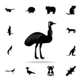 Ícone australiano da avestruz Grupo detalhado de ícones animais australianos da silhueta Projeto gráfico superior Um dos ícones d ilustração do vetor Ícone australiano da avestruz Grupo detalhado de ícones animais australianos da silhueta Projeto gráfico superior Um dos ícones d ilustração do vetor