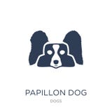 Ícone do cão de Papillon Ícone liso na moda do cão de Papillon do vetor no branco ilustração do vetor Ícone do cão de Papillon Ícone liso na moda do cão de Papillon do vetor no branco ilustração do vetor