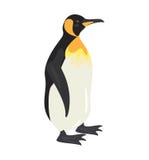 Ícone do pinguim dos desenhos animados no fundo branco ilustração stock Ícone do pinguim dos desenhos animados no fundo branco ilustração stock