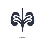 ícone dos rins no fundo branco Ilustração simples do elemento do conceito médico ilustração royalty free ícone dos rins no fundo branco Ilustração simples do elemento do conceito médico ilustração royalty free