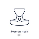Ícone humano linear do pescoço da coleção humana do esboço das partes do corpo Linha fina ícone humano do pescoço isolado no fund ilustração royalty free Ícone humano linear do pescoço da coleção humana do esboço das partes do corpo Linha fina ícone humano do pescoço isolado no fund ilustração royalty free