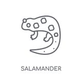 ícone linear da salamandra Conceito moderno o do logotipo da salamandra do esboço ilustração royalty free ícone linear da salamandra Conceito moderno o do logotipo da salamandra do esboço ilustração royalty free