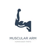 ícone muscular do braço no estilo na moda do projeto ícone muscular do braço isolado no fundo branco ícone muscular do vetor do b ilustração do vetor ícone muscular do braço no estilo na moda do projeto ícone muscular do braço isolado no fundo branco ícone muscular do vetor do b ilustração do vetor