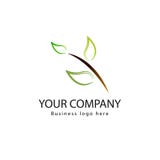 Ícone verde do vetor do elemento da natureza da ecologia da folha Biológico, logotipo do produto ilustração do vetor Ícone verde do vetor do elemento da natureza da ecologia da folha Biológico, logotipo do produto ilustração do vetor