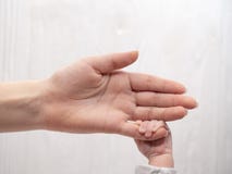 Δάχτυλο εκμετάλλευσης χεριών του νεογέννητου μωρού της αγαπώντας μητέρας του Έννοια της αγάπης και της οικογένειας Άσπρη ανασκόπη στοκ φωτογραφία με δικαίωμα ελεύθερης χρήσης Δάχτυλο εκμετάλλευσης χεριών του νεογέννητου μωρού της αγαπώντας μητέρας του Έννοια της αγάπης και της οικογένειας Άσπρη ανασκόπη στοκ φωτογραφία με δικαίωμα ελεύθερης χρήσης