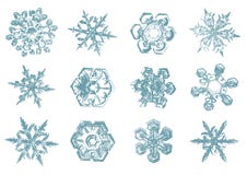 Διανυσματικό συρμένο χέρι σκίτσο snowflakes της απεικόνισης στο άσπρο υπόβαθρο ελεύθερη απεικόνιση δικαιώματος Διανυσματικό συρμένο χέρι σκίτσο snowflakes της απεικόνισης στο άσπρο υπόβαθρο ελεύθερη απεικόνιση δικαιώματος