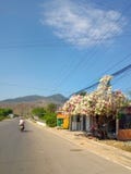 Δέντρο με τα λουλούδια σε ένα υπόβαθρο των βουνών στοκ φωτογραφίες με δικαίωμα ελεύθερης χρήσης Δέντρο με τα λουλούδια σε ένα υπόβαθρο των βουνών στοκ φωτογραφίες με δικαίωμα ελεύθερης χρήσης