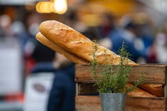 Δύο baguettes σε ένα ξύλινο κιβώτιο πίσω από ένα δοχείο λουλουδιών με το δεντρολίβανο στοκ εικόνες Δύο baguettes σε ένα ξύλινο κιβώτιο πίσω από ένα δοχείο λουλουδιών με το δεντρολίβανο στοκ εικόνες
