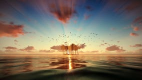 Île de Trpical d'isolement par l'eau, mouettes volant au lever de soleil Île de Trpical d'isolement par l'eau, mouettes volant au lever de soleil