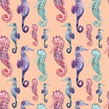 Άνευ ραφής σχέδιο με το seahorse διανυσματική απεικόνιση Άνευ ραφής σχέδιο με το seahorse διανυσματική απεικόνιση