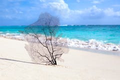 Άσπρη παραλία άμμου, τυρκουάζ θάλασσα στο μπλε ουρανό με το άσπρο υπόβαθρο σύννεφων στοκ εικόνες Άσπρη παραλία άμμου, τυρκουάζ θάλασσα στο μπλε ουρανό με το άσπρο υπόβαθρο σύννεφων στοκ εικόνες
