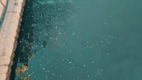 Άποψη του ποταμού Porsuk άνωθεν, Εσκί Σεχίρ φιλμ μικρού μήκους Άποψη του ποταμού Porsuk άνωθεν, Εσκί Σεχίρ φιλμ μικρού μήκους