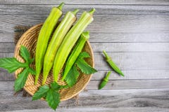 Ακατέργαστο okra στο καλάθι στοκ εικόνα Ακατέργαστο okra στο καλάθι στοκ εικόνα
