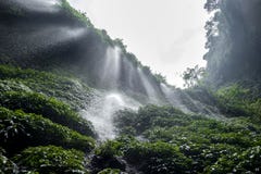 Ανατολική Ιάβα καταρρακτών Madakaripura, IndonesiaIndonesia στοκ εικόνες με δικαίωμα ελεύθερης χρήσης Ανατολική Ιάβα καταρρακτών Madakaripura, IndonesiaIndonesia στοκ εικόνες με δικαίωμα ελεύθερης χρήσης