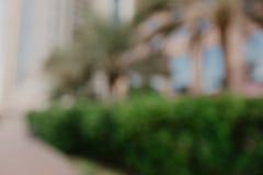 Αφηρημένο υπόβαθρο πάρκων πόλεων θαμπάδων bokeh στοκ εικόνες με δικαίωμα ελεύθερης χρήσης Αφηρημένο υπόβαθρο πάρκων πόλεων θαμπάδων bokeh στοκ εικόνες με δικαίωμα ελεύθερης χρήσης