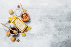 Η σειρά των τύπων φυσικών μελιών στοκ εικόνες Η σειρά των τύπων φυσικών μελιών στοκ εικόνες