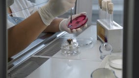 Ιατρική εργασία ερευνητών στο βιολογικό ερευνητικό εργαστήριο Linical έρευνες Ð ¡ απόθεμα βίντεο Ιατρική εργασία ερευνητών στο βιολογικό ερευνητικό εργαστήριο Linical έρευνες Ð ¡ απόθεμα βίντεο