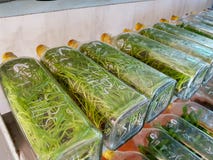 Καλλιέργειες ιστού ορχιδεών σε ένα μπουκάλι γυαλιού στοκ φωτογραφία Καλλιέργειες ιστού ορχιδεών σε ένα μπουκάλι γυαλιού στοκ φωτογραφία