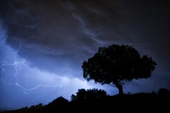 Καταιγίδα, αστραπή, δέντρο, βαλανιδιά ακροποταμιών στοκ εικόνες Καταιγίδα, αστραπή, δέντρο, βαλανιδιά ακροποταμιών στοκ εικόνες