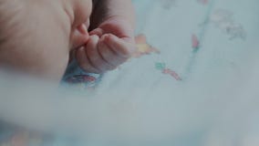 Κλείστε αυξημένος του μικρού χεριού μωρών Το παιδί κινεί δικοί του παραδίδει τον ύπνο του απόθεμα βίντεο Κλείστε αυξημένος του μικρού χεριού μωρών Το παιδί κινεί δικοί του παραδίδει τον ύπνο του απόθεμα βίντεο