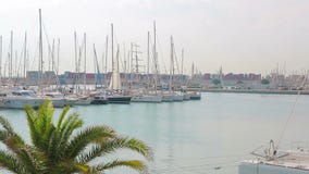 Λιμένας της Βαλένθια όπου sailboats και τα γιοτ βρίσκονται Το πρωί στη θέση τουριστών λιμένων, περπατά κοντά sailboats απόθεμα βίντεο Λιμένας της Βαλένθια όπου sailboats και τα γιοτ βρίσκονται Το πρωί στη θέση τουριστών λιμένων, περπατά κοντά sailboats απόθεμα βίντεο