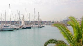 Λιμένας της Βαλένθια όπου sailboats και τα γιοτ βρίσκονται Το πρωί στη θέση τουριστών λιμένων, περπατά κοντά sailboats φιλμ μικρού μήκους Λιμένας της Βαλένθια όπου sailboats και τα γιοτ βρίσκονται Το πρωί στη θέση τουριστών λιμένων, περπατά κοντά sailboats φιλμ μικρού μήκους
