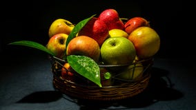 Μήλα με το φύλλωμα στοκ εικόνες Μήλα με το φύλλωμα στοκ εικόνες