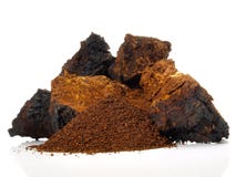 Μανιτάρι Chaga - υγιής διατροφή στοκ φωτογραφίες Μανιτάρι Chaga - υγιής διατροφή στοκ φωτογραφίες