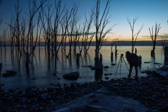 Νεκρά δέντρα στην εγκαταλειμμένη πόλη Epecuen Γυναίκα που φωτογραφίζει το ηλιοβασίλεμα στη λίμνη στοκ εικόνες με δικαίωμα ελεύθερης χρήσης Νεκρά δέντρα στην εγκαταλειμμένη πόλη Epecuen Γυναίκα που φωτογραφίζει το ηλιοβασίλεμα στη λίμνη στοκ εικόνες με δικαίωμα ελεύθερης χρήσης