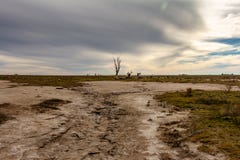 Νεκρά δέντρα στην εγκαταλειμμένη πόλη Epecuen Πλημμύρα που κατέστρεψε την πόλη Έρημο αστικό τοπίο εγκαταλειμμένη στρατού στρατόπε στοκ εικόνες με δικαίωμα ελεύθερης χρήσης Νεκρά δέντρα στην εγκαταλειμμένη πόλη Epecuen Πλημμύρα που κατέστρεψε την πόλη Έρημο αστικό τοπίο εγκαταλειμμένη στρατού στρατόπε στοκ εικόνες με δικαίωμα ελεύθερης χρήσης