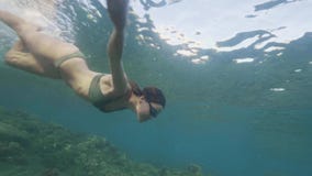 Νέα γυναίκα που βουτά στο κρύσταλλο - σαφές ωκεάνιο νερό Γυναίκα που κολυμπά με αναπνευτήρα στα γυαλιά στο διαφανές θαλάσσιο νερό φιλμ μικρού μήκους Νέα γυναίκα που βουτά στο κρύσταλλο - σαφές ωκεάνιο νερό Γυναίκα που κολυμπά με αναπνευτήρα στα γυαλιά στο διαφανές θαλάσσιο νερό φιλμ μικρού μήκους
