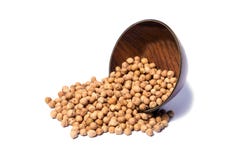 Ξηρά άσπρα chickpeas, η άσπρη Chana, ξηρές Chickpea φακές, πακιστανικά/ινδικά φασόλια στο ξύλινο κύπελλο που απομονώνεται στο άσπ στοκ εικόνες Ξηρά άσπρα chickpeas, η άσπρη Chana, ξηρές Chickpea φακές, πακιστανικά/ινδικά φασόλια στο ξύλινο κύπελλο που απομονώνεται στο άσπ στοκ εικόνες
