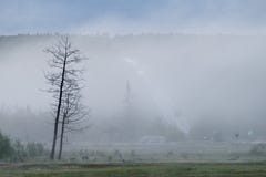 Οδήγηση και ταξίδι στους όρους άσχημου καιρού με τη φτωχή διαφάνεια στοκ φωτογραφία Οδήγηση και ταξίδι στους όρους άσχημου καιρού με τη φτωχή διαφάνεια στοκ φωτογραφία