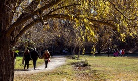 Οικογένεια που ξοδεύει τον ελεύθερο χρόνο τους στο συμπαθητικό ηλιόλουστο καιρό σε ένα φυσικό πάρκο στοκ εικόνες Οικογένεια που ξοδεύει τον ελεύθερο χρόνο τους στο συμπαθητικό ηλιόλουστο καιρό σε ένα φυσικό πάρκο στοκ εικόνες