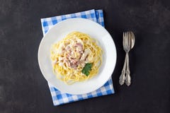 Σπιτικό carbonara ζυμαρικών στο άσπρο πιάτο στοκ εικόνα με δικαίωμα ελεύθερης χρήσης Σπιτικό carbonara ζυμαρικών στο άσπρο πιάτο στοκ εικόνα με δικαίωμα ελεύθερης χρήσης