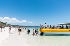Τουρίστες στην παραλία Whitehaven, νησί του Χάμιλτον, Αυστραλία στοκ εικόνες Τουρίστες στην παραλία Whitehaven, νησί του Χάμιλτον, Αυστραλία στοκ εικόνες