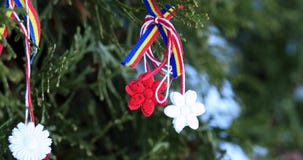 Φυσικά snowdrops και κόκκινο και άσπρο martisor σειράς στο πράσινο υπόβαθρο απόθεμα βίντεο Φυσικά snowdrops και κόκκινο και άσπρο martisor σειράς στο πράσινο υπόβαθρο απόθεμα βίντεο