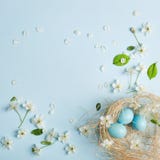 Χρωματισμένα μπλε αυγά Πάσχας στο υπόβαθρο των ανθών κερασιών στοκ εικόνες Χρωματισμένα μπλε αυγά Πάσχας στο υπόβαθρο των ανθών κερασιών στοκ εικόνες
