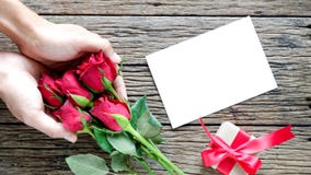 Υπόβαθρο ημέρας βαλεντίνου με τα κόκκινα τριαντάφυλλα στοκ εικόνες Υπόβαθρο ημέρας βαλεντίνου με τα κόκκινα τριαντάφυλλα στοκ εικόνες