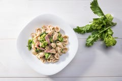 Παραδοσιακό πιάτο των ζυμαρικών Orecchiette περιοχών Apulia με τα πράσινα κραμβών και τις αλατισμένες αντσούγιες, τοπ άποψη, άσπρ στοκ φωτογραφία με δικαίωμα ελεύθερης χρήσης Παραδοσιακό πιάτο των ζυμαρικών Orecchiette περιοχών Apulia με τα πράσινα κραμβών και τις αλατισμένες αντσούγιες, τοπ άποψη, άσπρ στοκ φωτογραφία με δικαίωμα ελεύθερης χρήσης