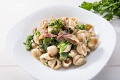 Παραδοσιακό πιάτο των ζυμαρικών Orecchiette περιοχών Apulia με τα πράσινα κραμβών και τις αλατισμένες αντσούγιες, τοπ άποψη, άσπρ στοκ εικόνες Παραδοσιακό πιάτο των ζυμαρικών Orecchiette περιοχών Apulia με τα πράσινα κραμβών και τις αλατισμένες αντσούγιες, τοπ άποψη, άσπρ στοκ εικόνες