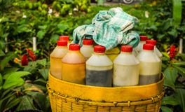 Παραδοσιακό ποτό ή jamu χορταριών από την Ινδονησία με το εκλεκτής ποιότητας μπουκάλι ύφους στο καλάθι μπαμπού στην Ινδονησία στοκ φωτογραφίες Παραδοσιακό ποτό ή jamu χορταριών από την Ινδονησία με το εκλεκτής ποιότητας μπουκάλι ύφους στο καλάθι μπαμπού στην Ινδονησία στοκ φωτογραφίες