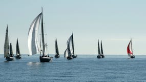 Πλέοντας φυλή βαρκών στον κόλπο των Καννών στοκ φωτογραφία με δικαίωμα ελεύθερης χρήσης Πλέοντας φυλή βαρκών στον κόλπο των Καννών στοκ φωτογραφία με δικαίωμα ελεύθερης χρήσης
