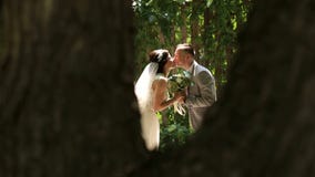 Πορτρέτο των ευτυχών newlyweds σε ένα ηλιόλουστο θερινό πάρκο φιλμ μικρού μήκους Πορτρέτο των ευτυχών newlyweds σε ένα ηλιόλουστο θερινό πάρκο φιλμ μικρού μήκους