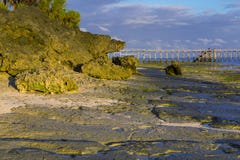 Πρωί στο ωκεάνιο νησί Zanzibar ακτών στοκ φωτογραφίες Πρωί στο ωκεάνιο νησί Zanzibar ακτών στοκ φωτογραφίες