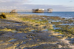 Πρωί στο ωκεάνιο νησί Zanzibar ακτών στοκ εικόνα Πρωί στο ωκεάνιο νησί Zanzibar ακτών στοκ εικόνα